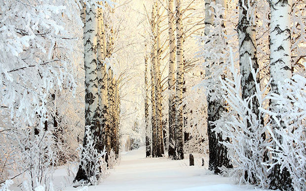 In de knoei door dit vriesweer ? Dit product houdt u in de weer !