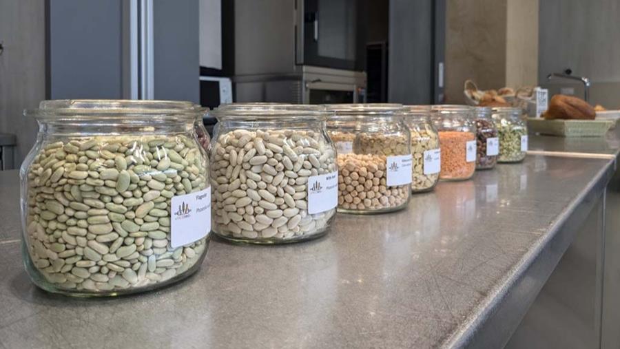 Légumineuses et dérivés: des ingrédients prometteurs