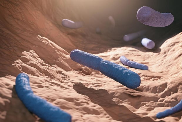 Étude Isala: une cartographie inédite du microbiote vaginal 