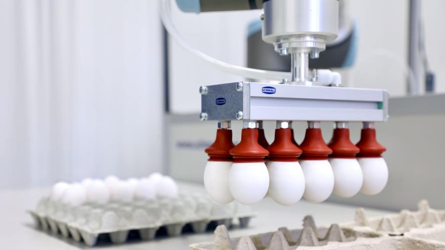 La technologie du vide dans l'industrie alimentaire: le préhenseur à vide