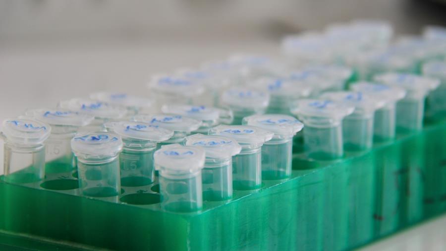 Innovatieve therapieën mogelijk beschikbaar voor EMA-goedkeuring