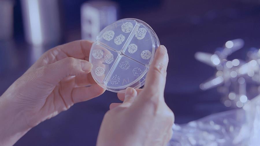 Tuberculose : quelques mises à jour thérapeutiques
