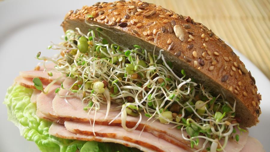 Salmonelle : une épidémie européenne liée aux graines germées concerne aussi la Belgique