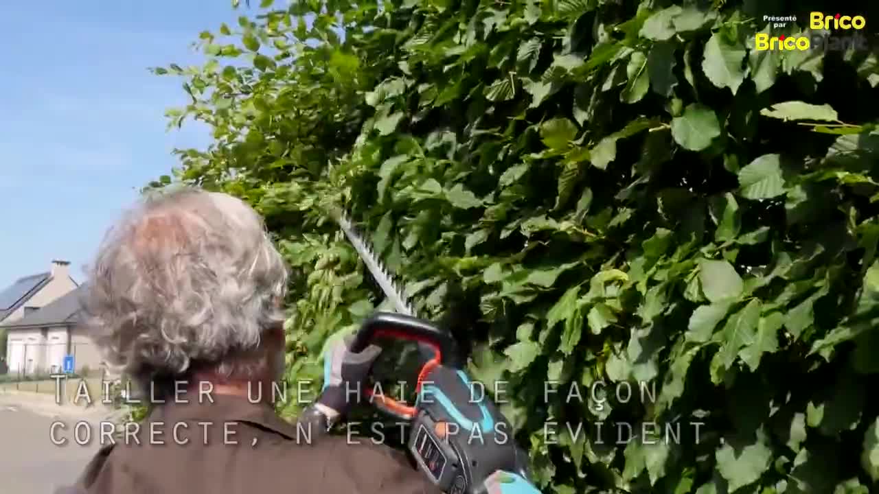 CONSEIL DE LA SEMAINE: PARFAITEMENT TAILLIR VOTRE HAIE