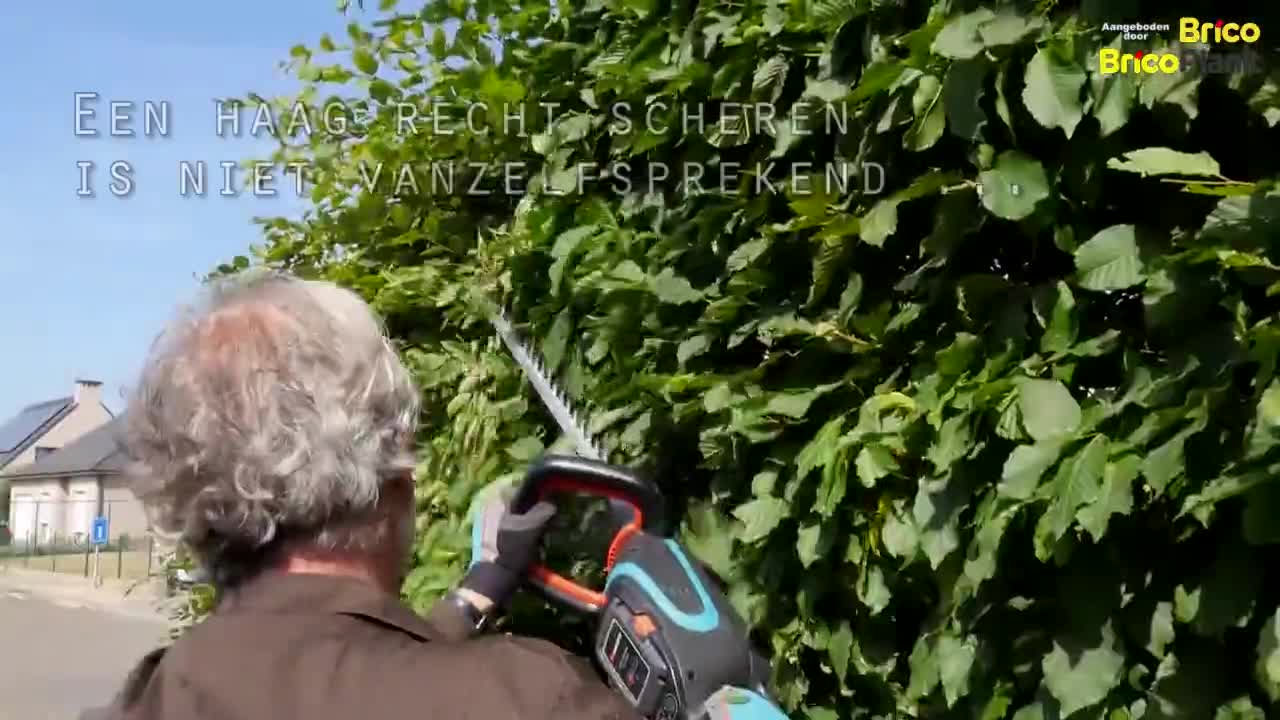 TIP VAN DE WEEK: JE HAAG RECHT SCHEREN