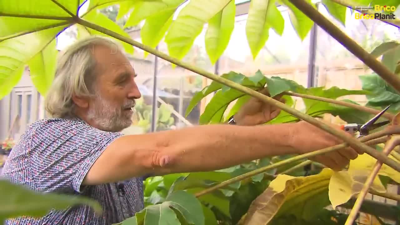 TIP VAN DE WEEK: DIY VOGELBADJE