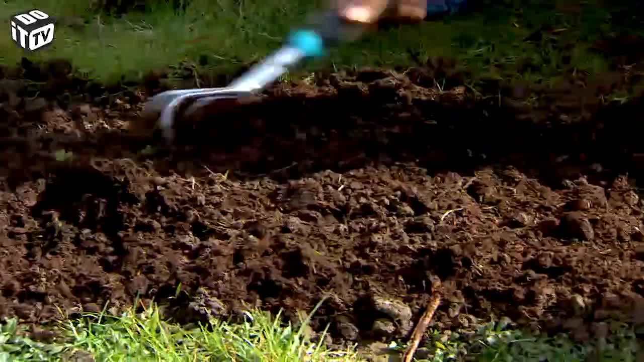 TIP VAN DE WEEK: KALE PLEKKEN IN HET GAZON AANPAKKEN